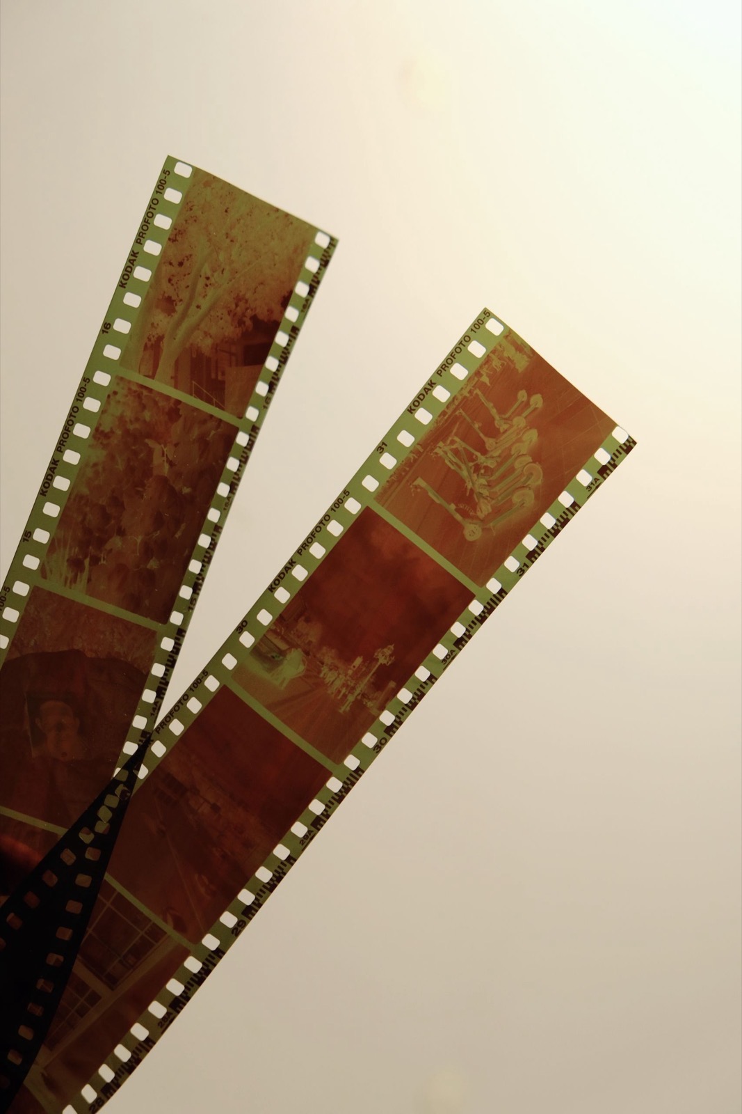 De vieux négatifs photographiques tenus à la lumière